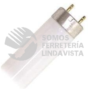 FL36DT8 LAMPARA DE TUBO FLUORESCENTE 36W T8 2 PINES LUZ BLANCA OFDE LUMIACTION