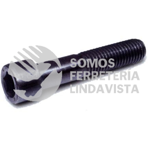 AC05025 TORNILLO ALLEN 10-24 X 2" TOLEDO