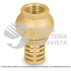 49049 PICHA-2 PICHANCHA CON REJILLA DE LATON 2" FOSET
