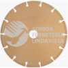 2144 DISCO DE DIAMANTE SEGMENTADO SOLDADO AL VACIO (14"X0 12"X1") AUSTRODIAM AUSTROMEX