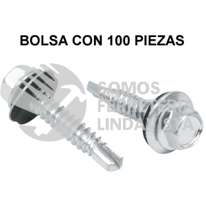 44406 PIBR-1R BOLSA CON 100 PIJAS 1" HEXAGONAL PUNTA BROCA CON RONDANA FIERO
