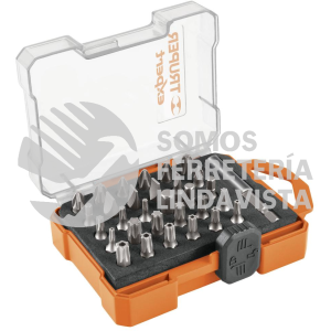 11887 PUN-31X JUEGO DE 31 PUNTAS MIXTAS LARGO 1" ESTUCHE PLASTICO TRUPER
