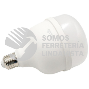 F10530 FOCO LED TIPO BULBO T 30 W LUZ FRIA IGOTO
