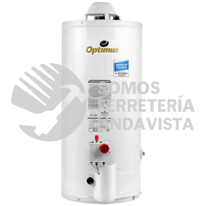 3270066 CALENTADOR DE AGUA DEP 38L 0-10 LP OPTIMUS