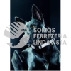613108 COLLAR PARA MASCOTA REFLECTANTE XS, NEGRO PETIT MASCOTAS