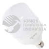 F10530 FOCO LED DE ALTA POTENCIA T100 30W LUZ FRIA IGOTO