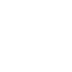 Organización y almacenamiento